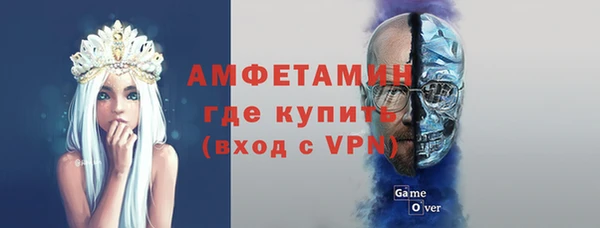 шишки Елабуга