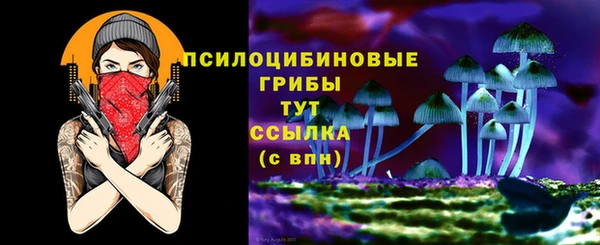 дмт Дмитров
