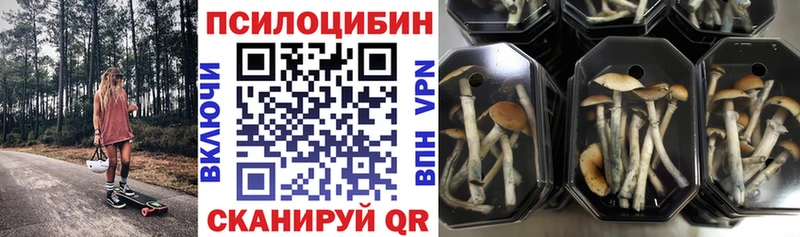 Галлюциногенные грибы Psilocybe  мориарти формула  Исилькуль  где найти наркотики  кракен вход 